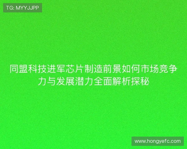 同盟科技进军芯片制造前景如何市场竞争力与发展潜力全面解析探秘